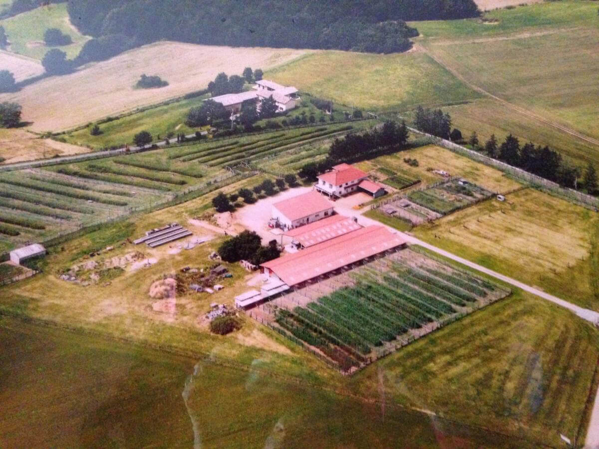 Elevage de la citadelle près du Rhône (69) : vente et élevage de perdrix et faisan